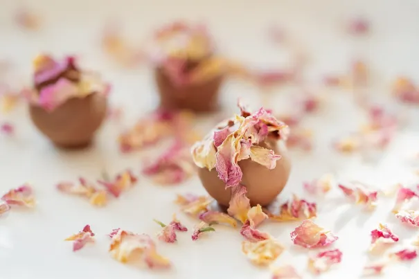 Ανδρομέδα Καζίνο Εφαρμογή Android/iOS